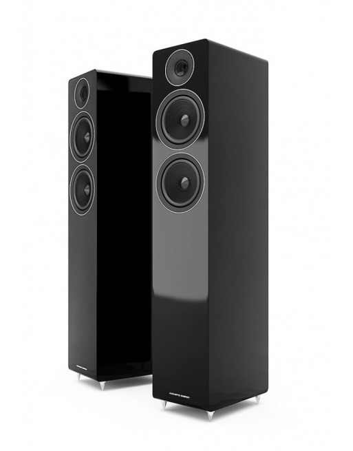 Acoustic Energy AE309 Towers